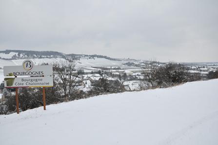 Vignobles de Saint-Désert